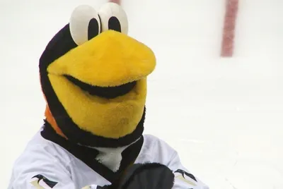 Iceburgh Goes Home. Takes a Cold Bath.