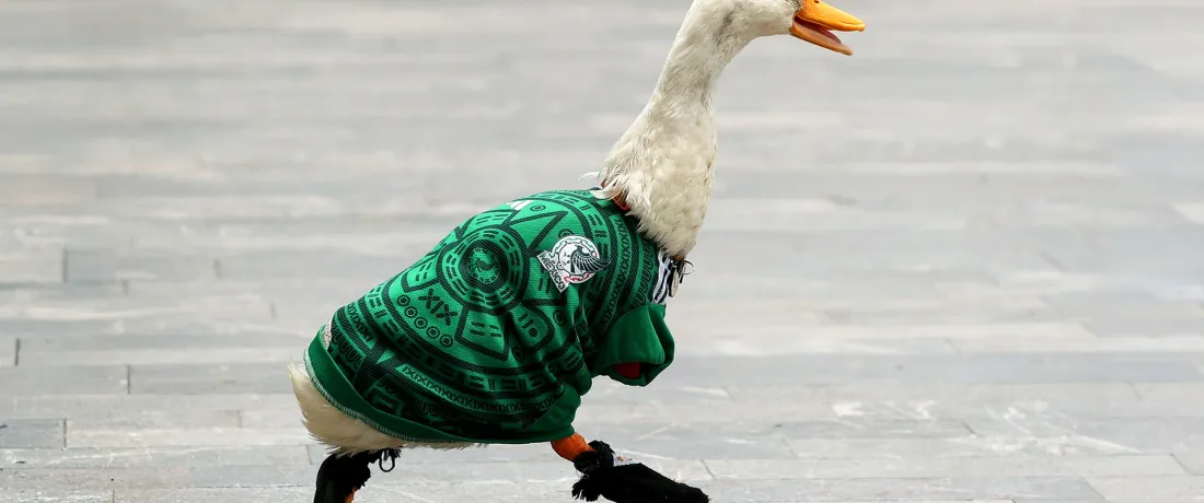 FIFA Has Concerns About Merlín. Merlín Has Concerns About FIFA.
