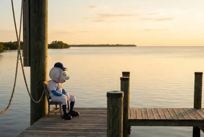 This Poor, Poor Mr. Met