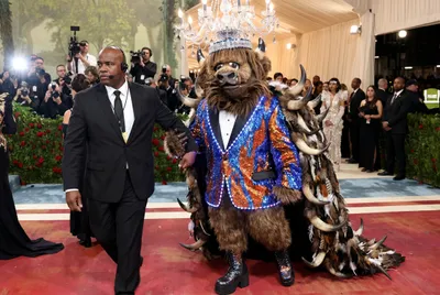 Mascots at the Met Gala, Uninvited