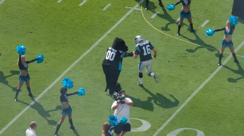 Sir Purr Has Not Left His Cat Tree Since the Panthers Fired Their Third Coach in Four Years