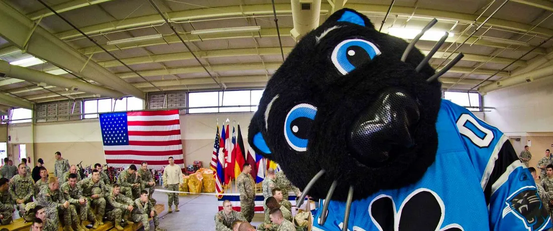 Sir Purr Has Not Left His Cat Tree Since the Panthers Fired Their Third Coach in Four Years