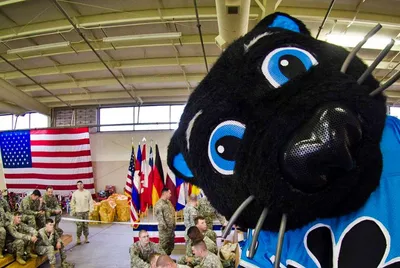 Sir Purr Has Not Left His Cat Tree Since the Panthers Fired Their Third Coach in Four Years