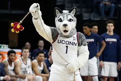 Wellness Update: Jonathan the Husky Had a Bad Week