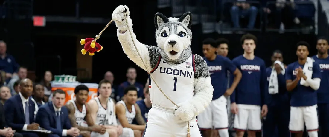 Wellness Update: Jonathan the Husky Had a Bad Week